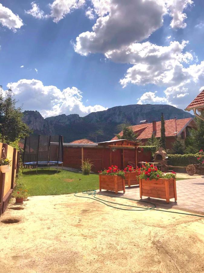 Konak -Guest House -Ramonda Serbika Nis Exterior photo